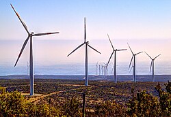 Wind farm near Canela, Chile