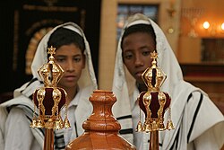 Two boys wearing tallit at a bar mitzvah. The torah is visible in the foreground.