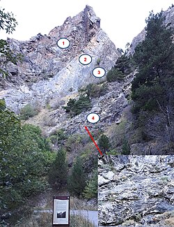 Groupe de Canaveilles exposure (Piton de Castell Vidre) in the eastern Pyrenees (commune of Llo, France). 1 - Very silicious schist. 2 - Marble. 3 - Limestone and dolomite. 4 (& inset) - "Barégiennes" (thin, deformed, alternating calcareous/siliceous beds).[26]