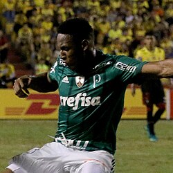 Yerry Mina