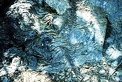 Stromatolites are left behind by cyanobacteria, known as blue-green algae. They are among the oldest fossils of life on Earth. This one-billion-year-old fossil is from Glacier National Park in the United States.