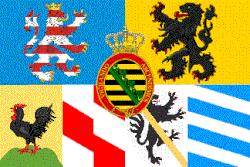 Grand Ducal Standard 1862-1878
