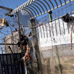 Remnants of clothing, wooden sticks and backpacks stuck to the barbed wire at the border crossing
