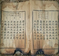 Part of a photo Bae released in 2015 to prove that the Sangju copy was not destroyed in his house fire. Fire damage is visible on the bottom.[42]