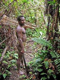 Korowai tribesman