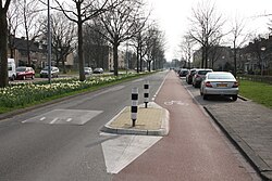 Bike lane in Netherlands
