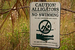 Sign in Florida warning of alligators