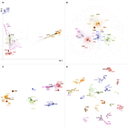 Four methods of dimensionality reduction applied to the Thousand Genomes genotype dataset, illustrating how clustering can reveal population structure from large-scale genetic data.