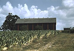 Tobacco barn near Lexington, Kentucky