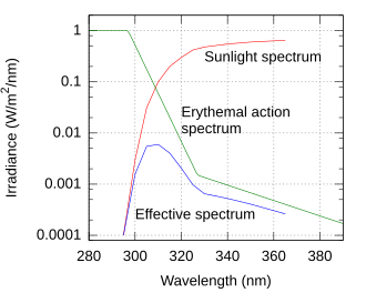 Sunburn effect (as measured by the UV index) is the product of the sunlight power spectrum (radiation intensity) and the erythemal action spectrum (skin sensitivity) across the range of UV wavelengths.[9][10]