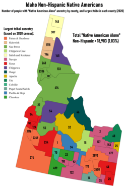 Largest Non-Hispanic Native American ancestry by county and numbers of people reporting "Native American Alone"