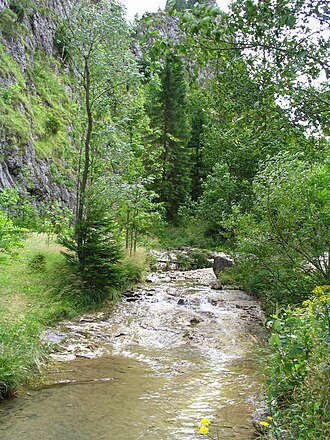 Homole Ravine, Pieniny, Poland