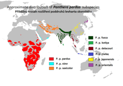 Map showing approximate distribution of leopard subspecies