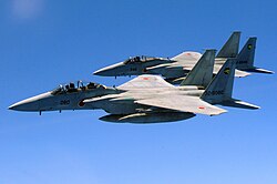 Japan Air Self-Defense Force F-15DJ and F-15J of the 306th TFS