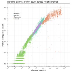 Log–log plot of the total number of annotated proteins in genomes submitted to GenBank as a function of genome size