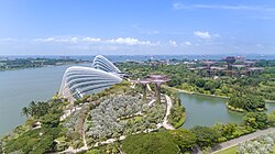 Gardens by the Bay