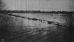 A Section of Myrtle Grove Plantation Under Water in Plaquemines Parish, Louisiana after the hurricane