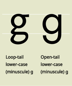 Loop-tail ⟨g⟩ and open-tail ⟨ɡ⟩ are graphic variants. Open-tail ⟨ɡ⟩ was the original IPA symbol, but both are now considered correct. See history of the IPA for details.