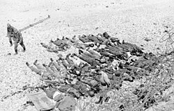 Canadian and British dead at Dieppe, August 1942