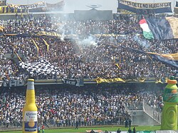 Pumas UNAM fans in a match against Club América