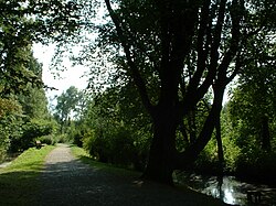 Castle Park