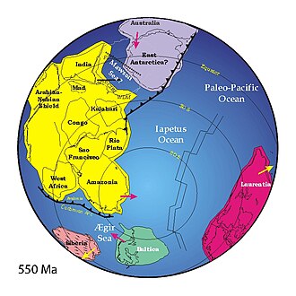 Reconstruction showing final stages of assembly of Gondwana, 550 Mya