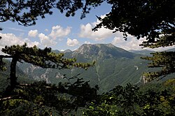 Sutjeska National Park contains Perućica, which is the largest primeval forest in the Balkans, and one of the last remaining in Europe