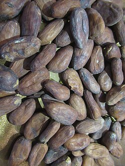 Roasted cocoa beans
