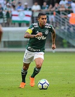 Dudu in 2018