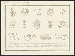 Sketch of hieroglyphs found of earlier presence of former inhabitants, drawn on cave roof with reddish ocre-like paint, ratio 1/20. (1827)
