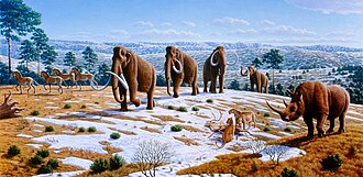 Many giant mammals such as woolly mammoths, woolly rhinoceroses, and cave lions inhabited the mammoth steppe during the Pleistocene.
