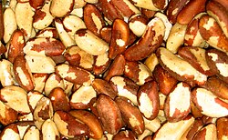 Brazil nuts after shell removal