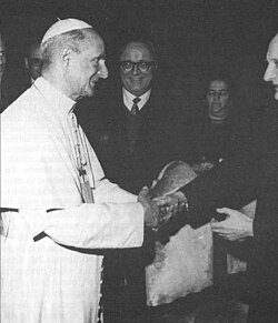 Pope Paul VI during an October 1973 audience