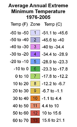 (See table below)