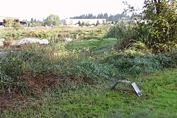 Trap for capturing nutria