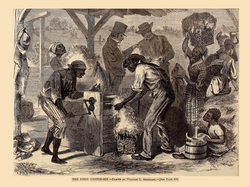 Slaves using an early cotton gin (prior to Whitney's developed version) to help harvest and process the cotton. Illustration in Harper's Weekly, 1869 depicting late 18th-century America.