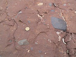 Diamictite of the Elatina Formation in South Australia, formed during the Marinoan glaciation of the late Cryogenian