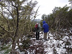 Trekking in the Andean Club