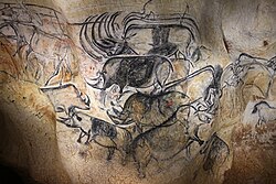 Cave paintings of the woolly rhinoceros (Coelodonta antiquitatis) in Chauvet-Pont-d'Arc Cave, France