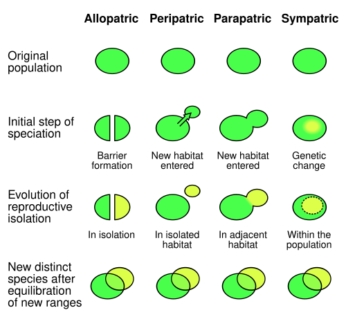 The four geographic modes of speciation
