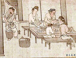 Silkworm cocoons weighed and sorted (Liang Kai's Sericulture)