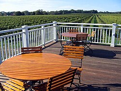 Vineyard and deck on the North Fork of Long Island