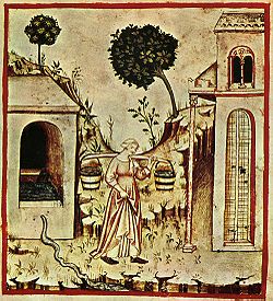 Water use, Tacuinum Sanitatis, Biblioteca Casanatense (14th century)