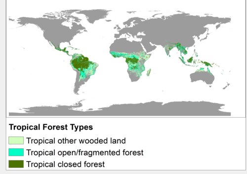 Tropical forest land from the UN FO FRA2000 report