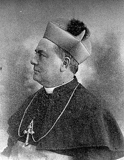 Bishop McFaul (1918)