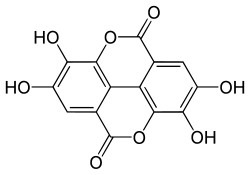 Ellagic acid, a polyphenol