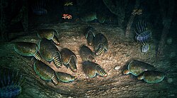 Artist's impression of the benthic environment of the site, showing Canadaspis perfecta gathering to mate and moult in the Walcott Quarry of the Burgess Shale (Phyllopod Bed, Layer -350), alongside other benthic animals like Wiwaxia, and the arthropod Marrella swimming above.