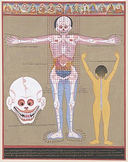 An anatomy thangka, part of Desi Sangye Gyatso's The Blue Beryl, 17th century