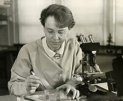 Barbara McClintock used maize to study inheritance of traits.