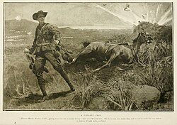 Original lithograph caption: A Gallant Feat. Private Martin Hanlon, C.I.V.
